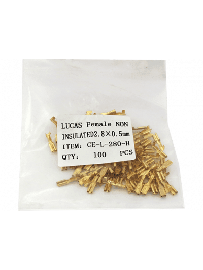 TERMINAL TIPO LUCAS HEMBRA