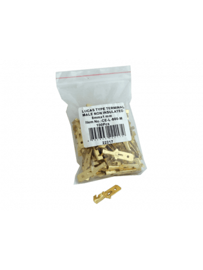 TERMINAL TIPO LUCAS MACHO 8MM