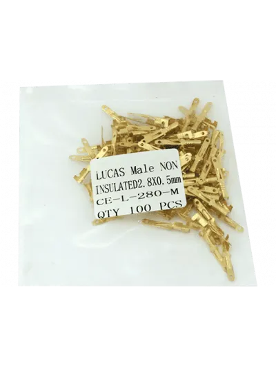 TERMINAL TIPO LUCAS MACHO