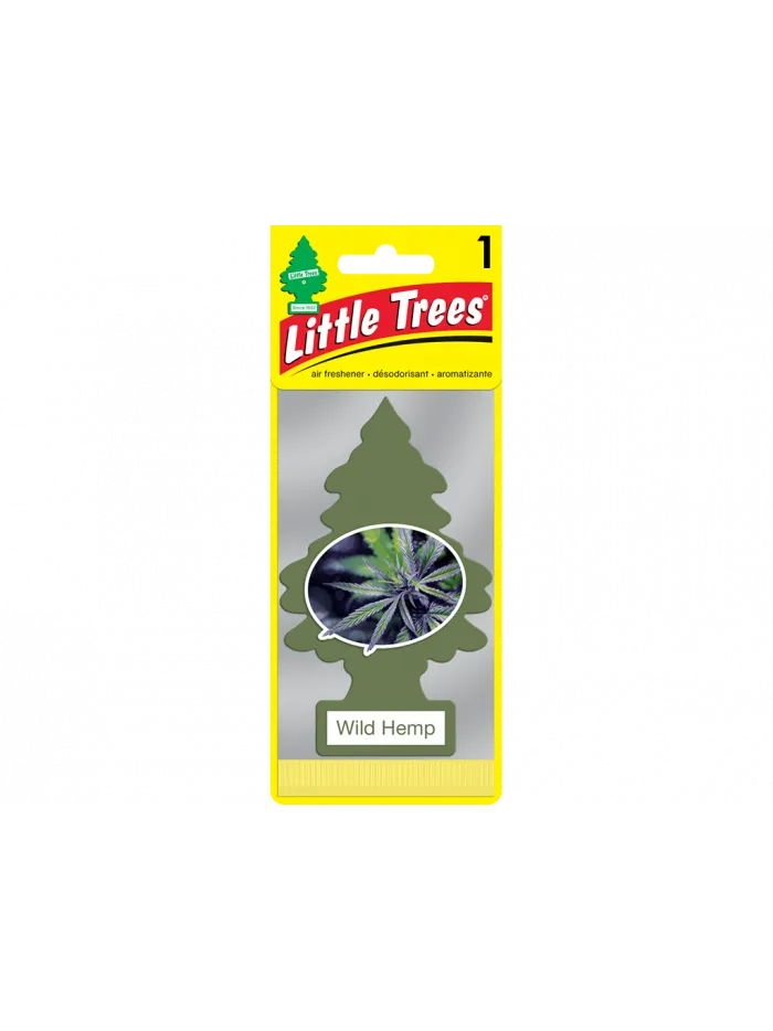 AROMATIZANTES - CAÑAMO 24 UN