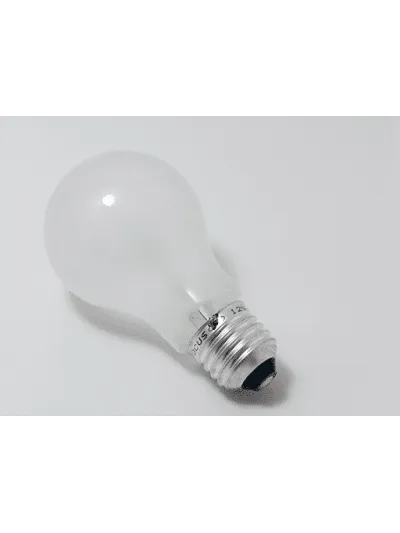 12V 40W A19 E27 PS60 EMPABONADA