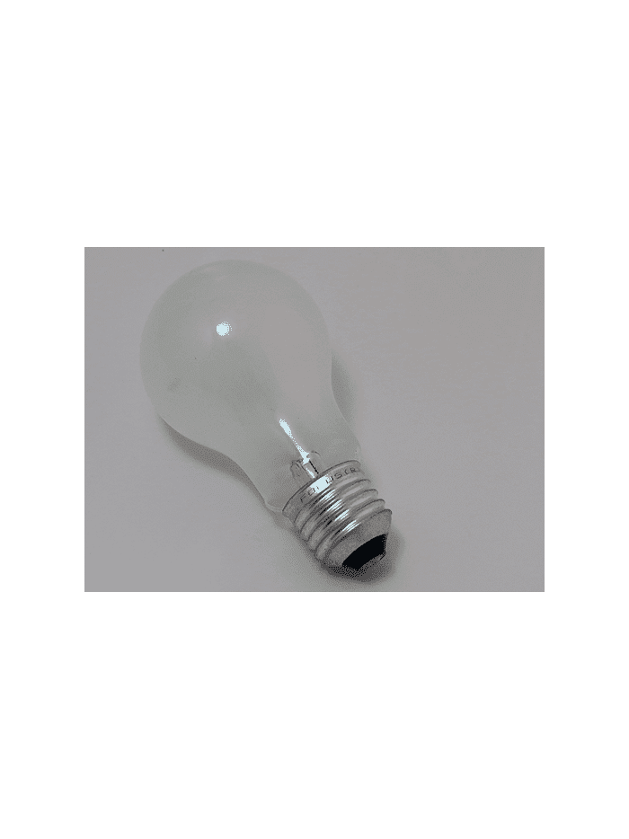 24V 60W A19 E27 PS60 EMPABONADA